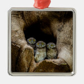 Forests | Three Owls Looking Metalen Ornament (Voorkant)