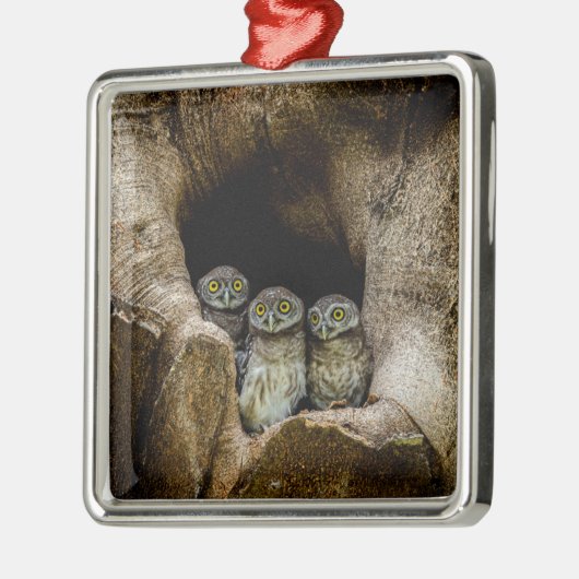 Forests | Three Owls Looking Metalen Ornament (Links)