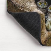 Forests | Three Owls Looking Muismat (Hoek)