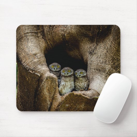 Forests | Three Owls Looking Muismat (Met muis)