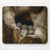 Forests | Three Owls Looking Muismat (Voorkant)