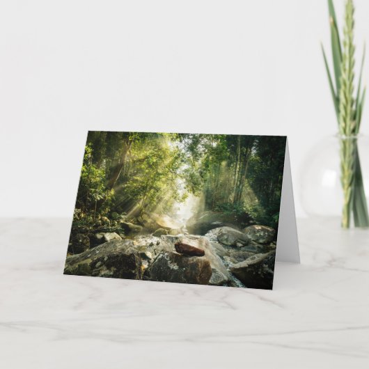 Forests | Tropical Jungle Forest Kaart (Voorkant)