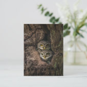 Forests | Two Owls Looking Briefkaart (Staand voorkant)