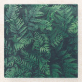 Forests | Woodland Ferns Glazen Onderzetter (Voorkant)