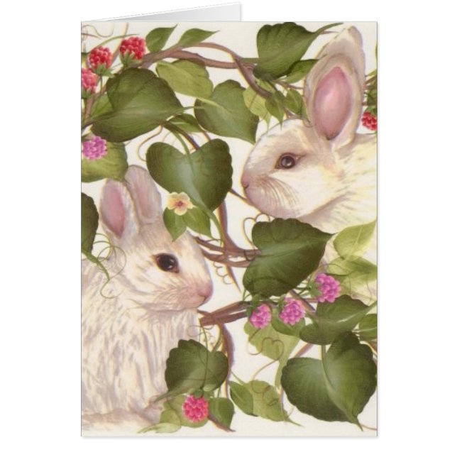 Forever Bunnies (Voorkant)