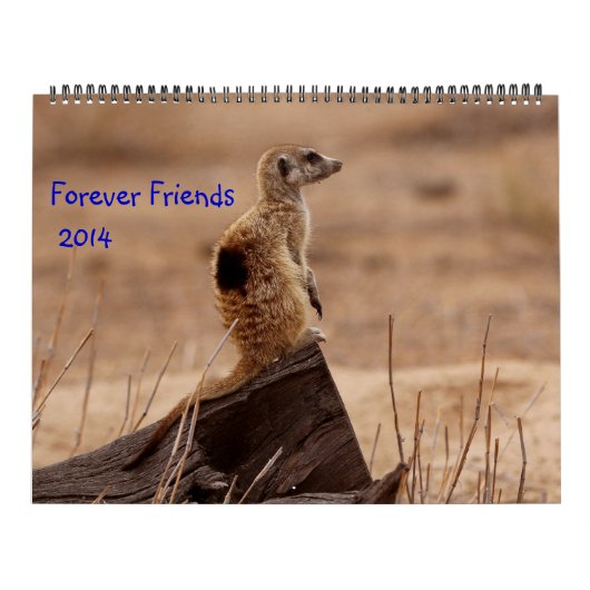Forever Friends - FKMP kalender 2014 (Hoes)