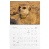 Forever Friends - FKMP kalender 2014 (Jan 2026)