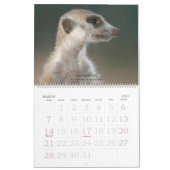 Forever Friends - Meerkat Calendar Kalender (Mar 2027)