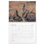 Forever Friends - Meerkat Calendar Kalender (Feb 2027)