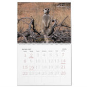 Forever Friends - Meerkat Calendar Kalender (Feb 2026)