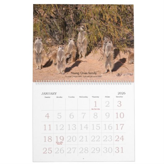 Forever Friends - Meerkat Calendar Kalender (Jan 2026)