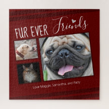 Forever Friends Pet Photo Collage