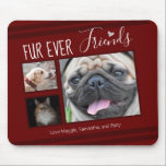 Forever Friends Pet Photo Collage Muismat<br><div class="desc">3 sjabloon van het hokjesmuisblok voor fotovoltaïsche collage is gebruiksvriendelijk. Alle tekst kan gemakkelijk worden veranderd. Geweldig voor de liefhebber in je leven.</div>