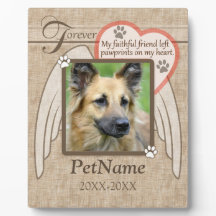 Forever geliefde Angel Wings Pet Sympathie Aangepa