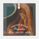 Forever Gemist Foto Pet Snake Memorial Glas Ornament (Voorkant)