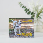 Forever Home Amazing Grace Briefkaart (Staand voorkant)