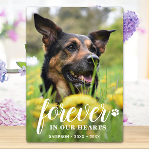 Forever in het hart Persoonlijk Gepersonaliseerd F Fotoplaat