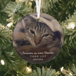 Forever in ons hart Foto Cat Pet Memorial Glas Ornament