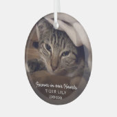 Forever in ons hart Foto Cat Pet Memorial Glas Ornament (Voorkant links)
