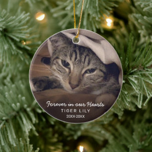 Forever in ons hart Foto Cat Pet Memorial Keramisch Ornament
