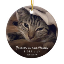 Forever in ons hart Foto Cat Pet Memorial