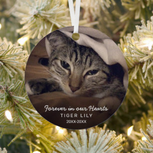 Forever in ons hart Foto Cat Pet Memorial Metalen Ornament