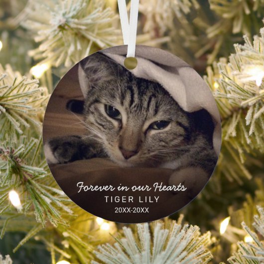 Forever in ons hart Foto Cat Pet Memorial Metalen Ornament (Insitu)