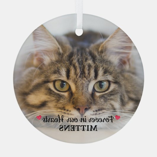 Forever in ons hart Foto Pet Memorial Glas Ornament (Achterkant)
