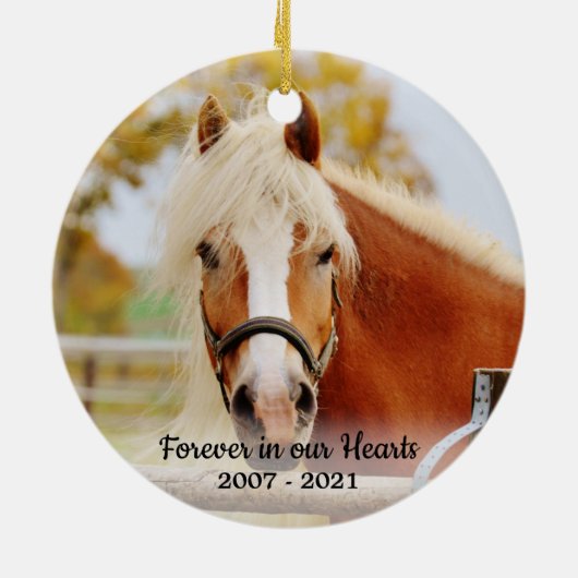Forever in ons hart Foto Pet Memorial Keramisch Ornament (Achterkant)