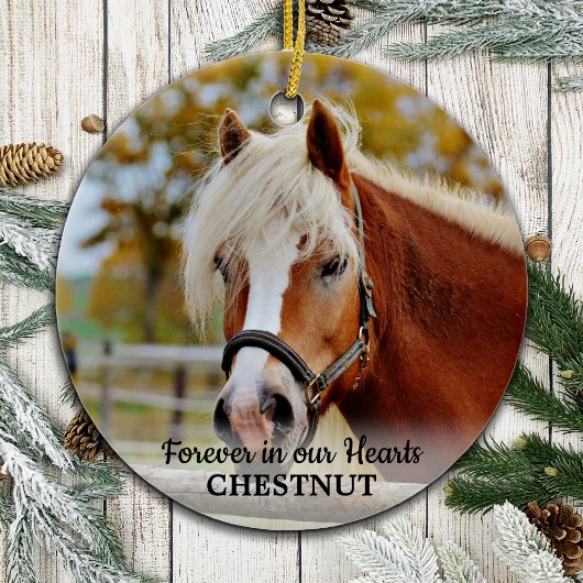 Forever in ons hart Foto Pet Memorial Keramisch Ornament