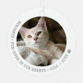 Forever in ons hart Foto Pet Memorial Metalen Ornament (Achterkant)