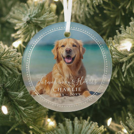 Forever in our Hearts Pet Memorial Name Photo Glas Ornament