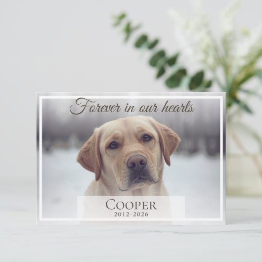 Forever in our hearts Pet memorial photo Bedankkaart (Staand voorkant)