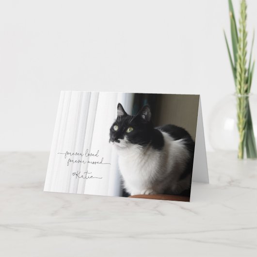 Forever Katie Kaart (Voorkant)