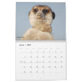 Forever Legends - Agenda Kalender (Mar 2027)