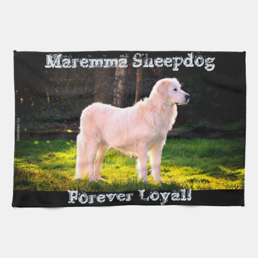 Forever Loyal Maremma Theedoek (Horizontaal)
