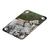 Forever Missed Pet Memorial Moderne foto op maat Magneet (Linkerzijde)