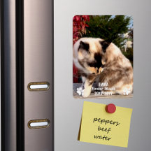 Forever Missed Pet Memorial Moderne foto op maat