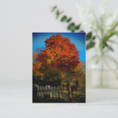 Forever Red Briefkaart (Staand voorkant)