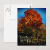 Forever Red Briefkaart (Voorkant / Achterkant)