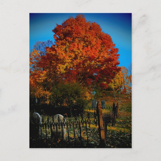 Forever Red Briefkaart (Voorkant)