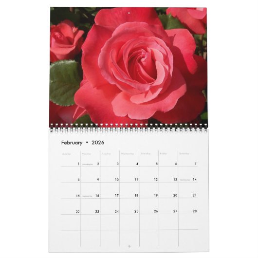 Forever Roses Calendar Kalender (Feb 2026)
