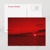 Forever Scarlet Briefkaart (Voorkant / Achterkant)