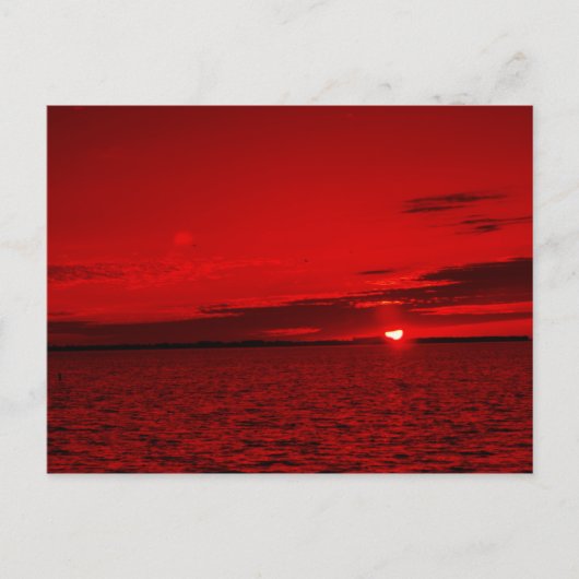 Forever Scarlet Briefkaart (Voorkant)