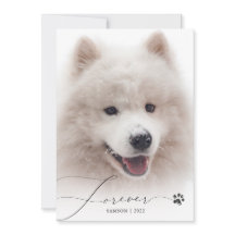 Forever Simple Script Pet Memorial Foto bedankt