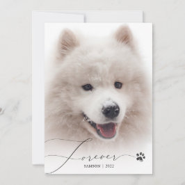 Forever Simple Script Pet Memorial Foto bedankt