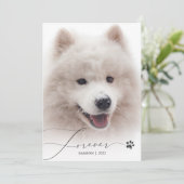 Forever Simple Script Pet Memorial Foto bedankt (Staand voorkant)