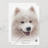 Forever Simple Script Pet Memorial Foto bedankt (Voorkant / Achterkant)