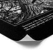 Forever vriendschap, Canadese pine, Fine Art Poster (Hoek)