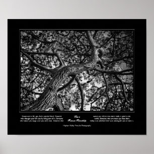 Forever vriendschap, Canadese pine, Fine Art Poster